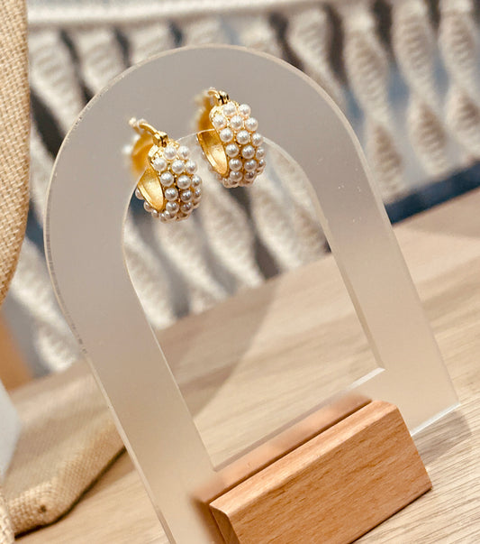 Diana Hoops